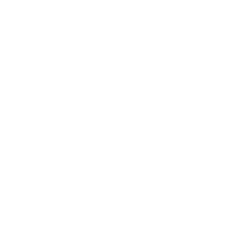Service-Portal-Icon