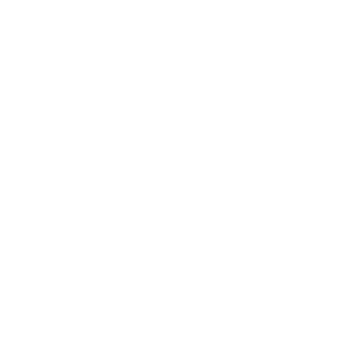 Review Icon