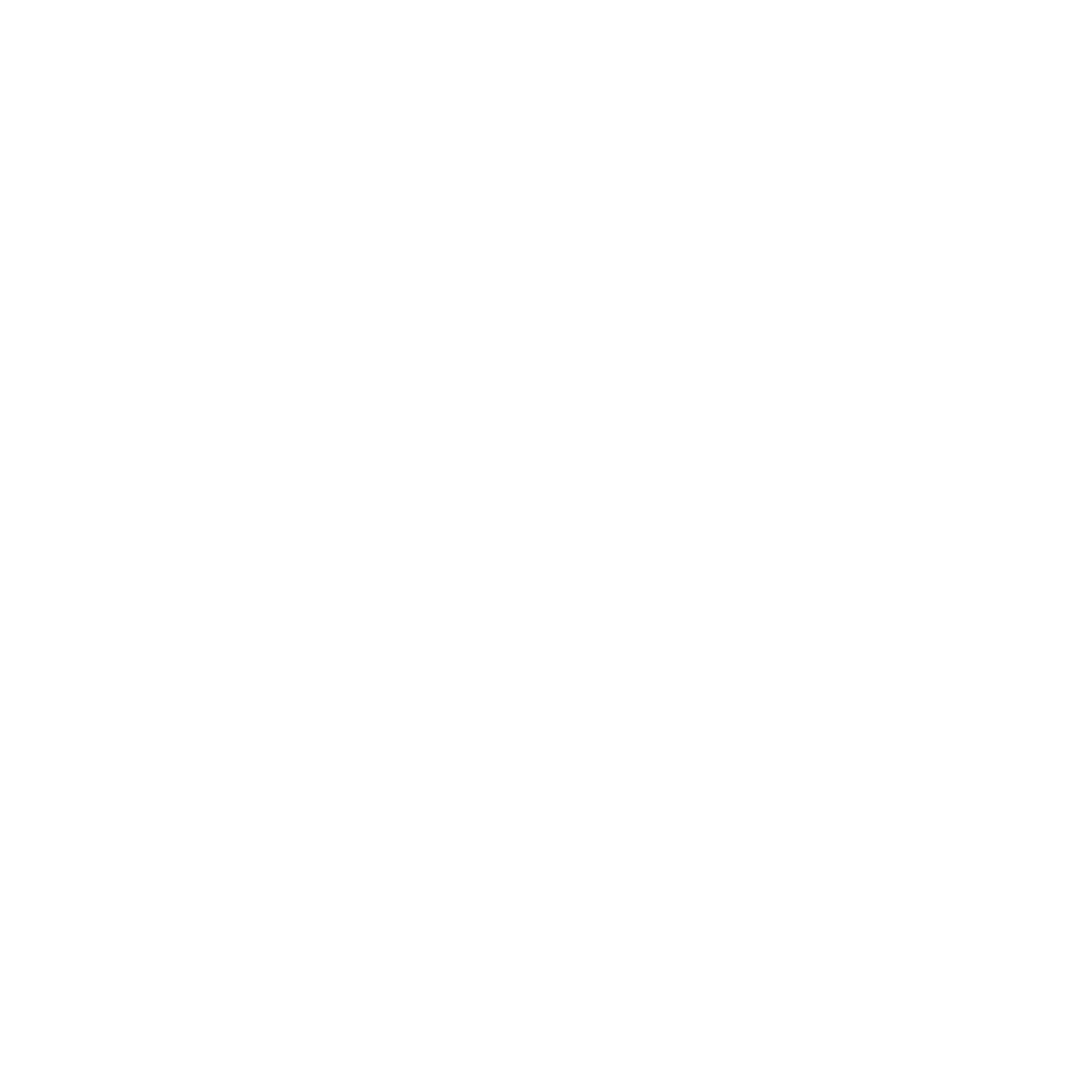 secure-docs-fraud-icon