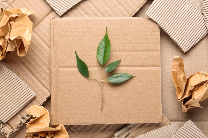 Stylized photo of sustainable packaging examples with a leaf